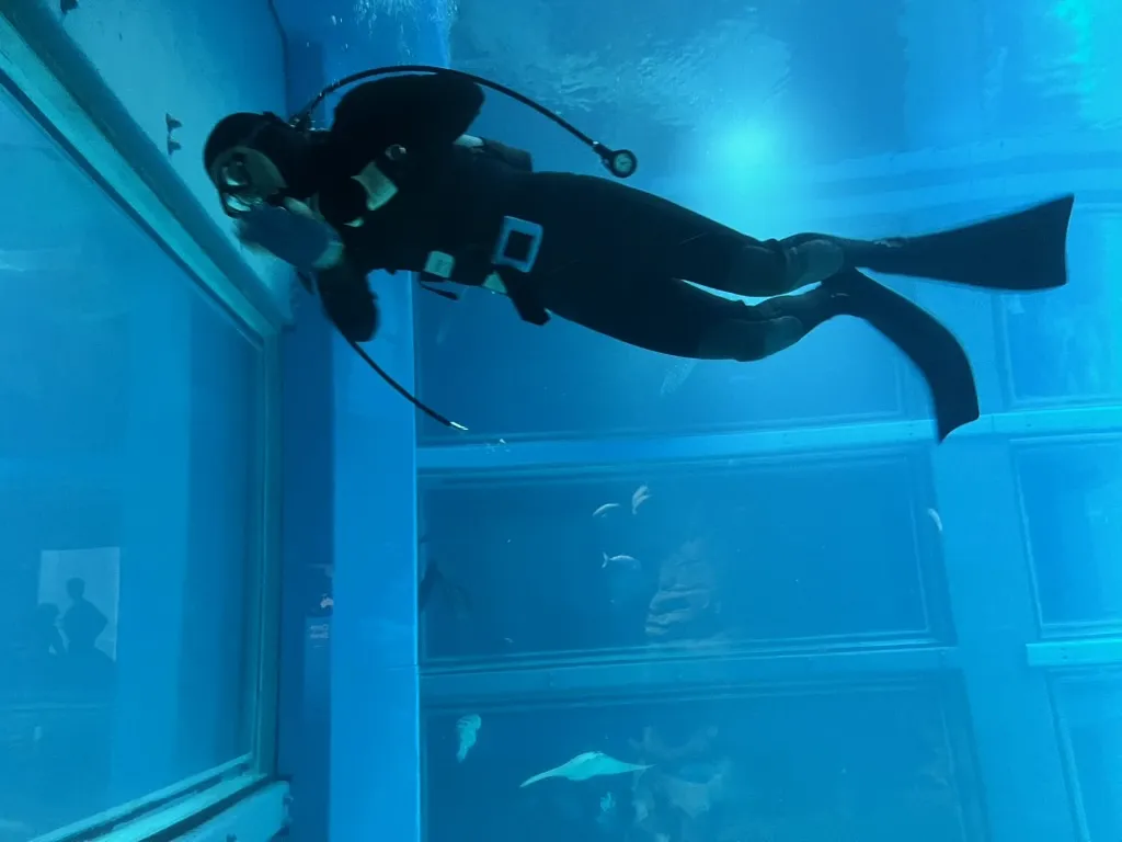 aquarium