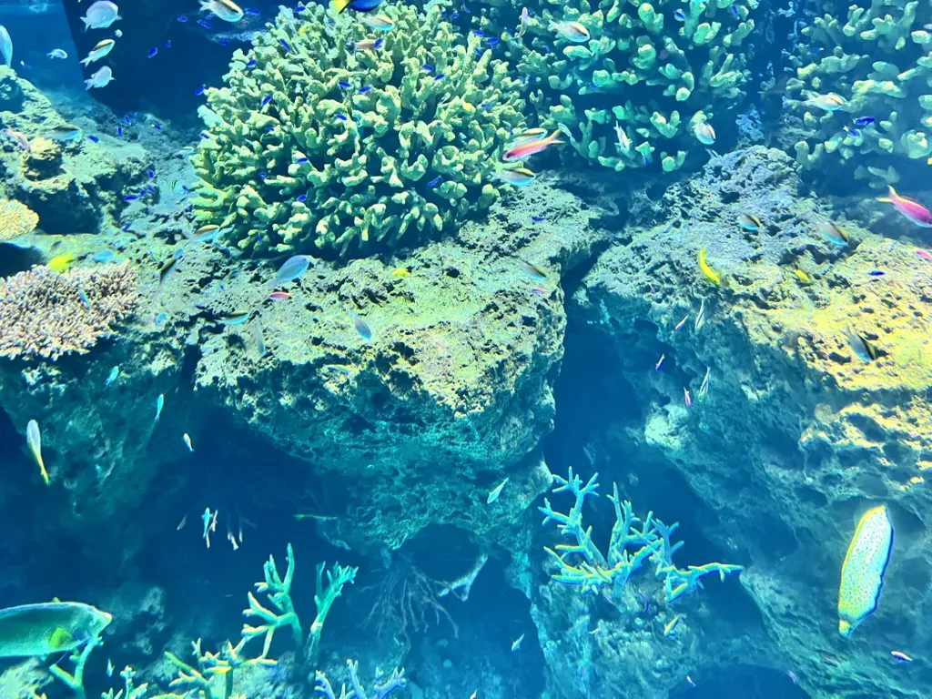 aquarium