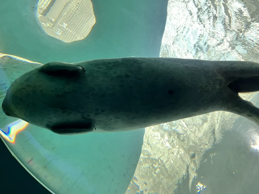 aquarium