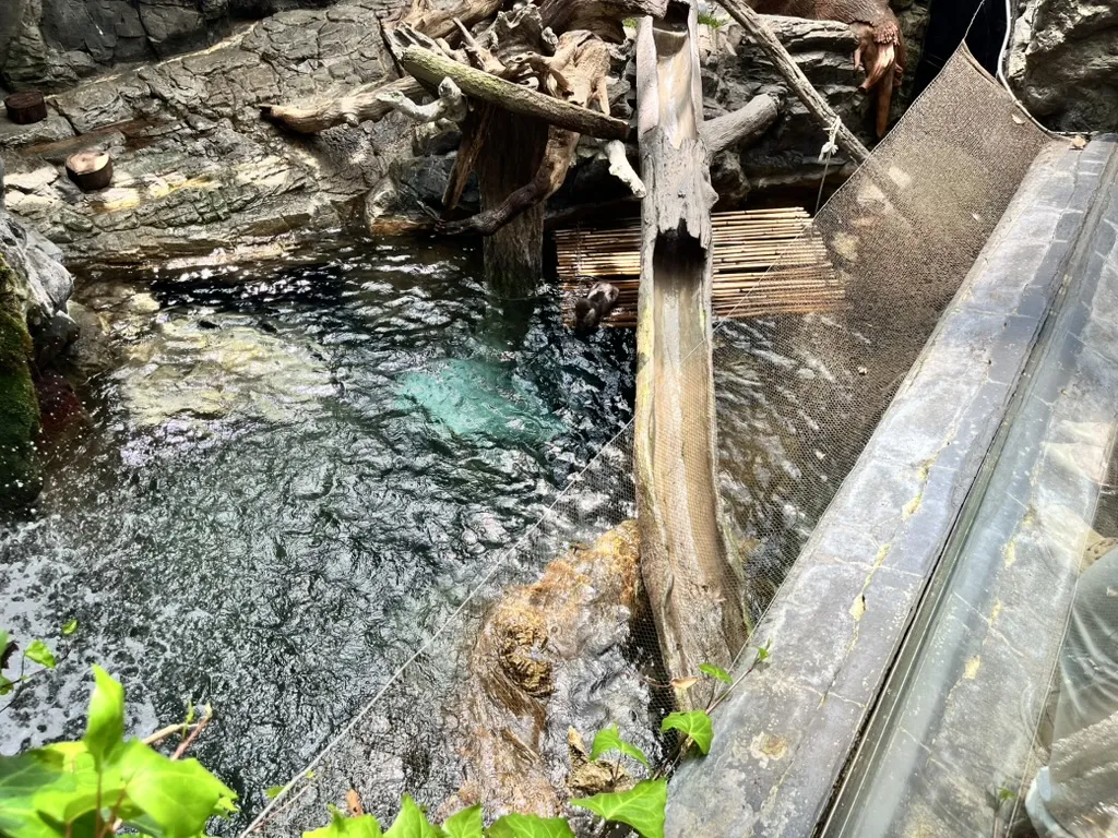 aquarium